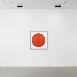 Damien Hirst - Mepartricin