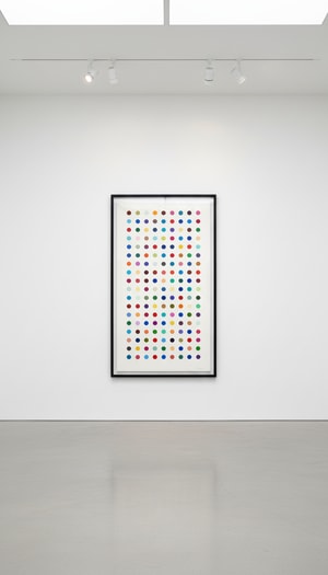 Damien Hirst - Methamphetamine
