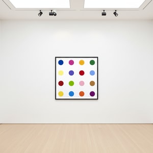 Damien Hirst - Nopaline