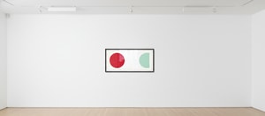 Damien Hirst - Picolinic Acid