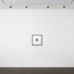 Damien Hirst - Picrotoxin