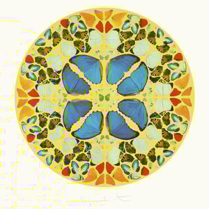 Damien Hirst - Psalm : Domine, Dominus Noster