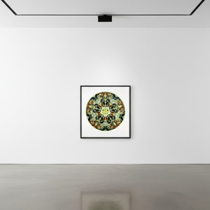 Damien Hirst - Psalm: Domini est terra