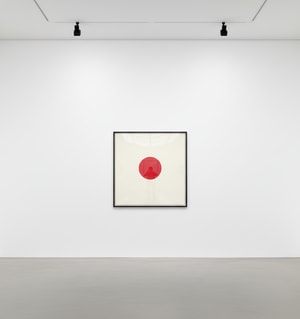 Damien Hirst - Quinaldic Acid