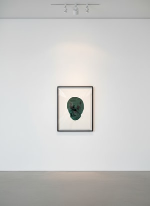 Damien Hirst - Racing Green/Raven Black Skull
