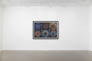 Damien Hirst - Sanctum Portfolio