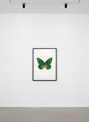 Damien Hirst - Souls I (Emerald Green , Oriental Gold)