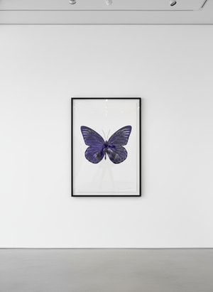 Damien Hirst - Souls I (Imperial Purple/Silver)