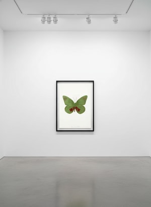 Damien Hirst - Souls I (Leaf Green , Chili Red)
