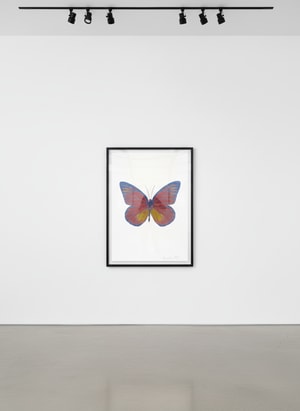 Damien Hirst - Souls I (Loganberry Pink/ Oriental Gold/ Cornflower Blue)
