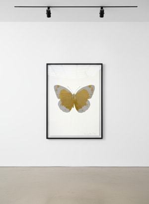 Damien Hirst - Souls II (Oriental Gold Silver Gloss/ Blind Impression)