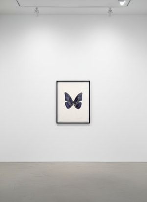 Damien Hirst - Souls III (Imperial Purple/Silver)