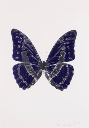 Damien Hirst - Souls III (Imperial Purple/Silver)