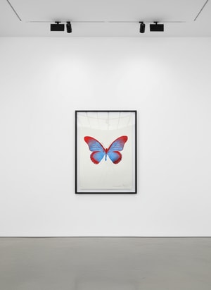 Damien Hirst - Souls IV (Frost Blue Chili Red)
