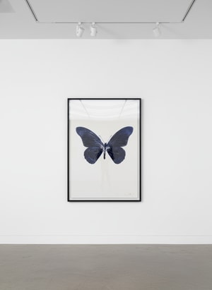 Damien Hirst - Souls IV (Imperial Purple/Silver)