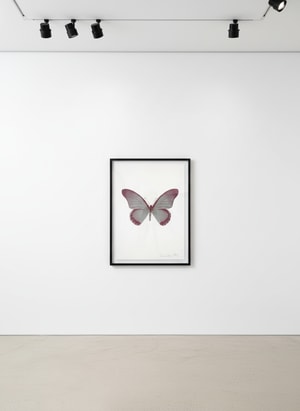 Damien Hirst - Souls IV (Silver Gloss, Loganberry Pink)