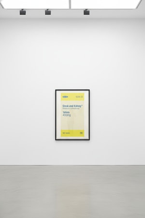 Damien Hirst - Steak and Kidney (from The Last Supper)