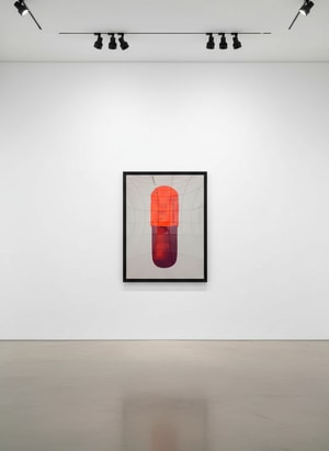 Damien Hirst - The Cure (Battleship Grey/Fizzy Orange/Berry)