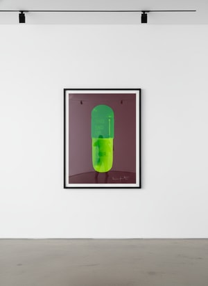 Damien Hirst - The Cure (Chocolate/Emerald Green/Lime Green)