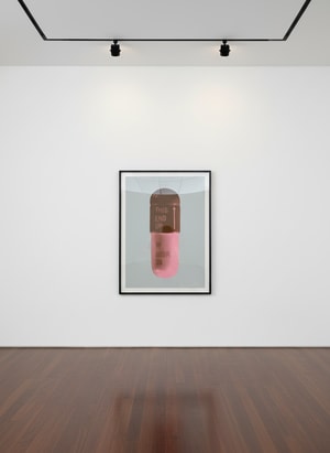 Damien Hirst - The Cure (Frigate/Chocolate/Rose Pink)