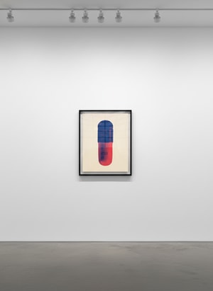 Damien Hirst - The Cure (Peach Cream/Ultramarine/Lust)