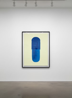 Damien Hirst - The Cure (Sherbert Green/Royal Blue/Ocean Blue)