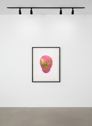 Damien Hirst - The Dead - Lime Green/Loganbery Pink