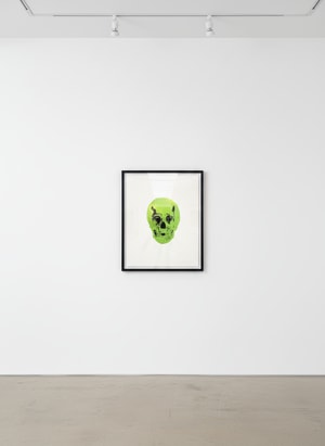 Damien Hirst - The Dead - Racing Green/Raven Black