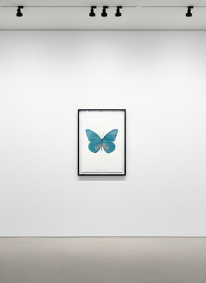 Damien Hirst - The Souls I (Topaz - silver gloss)