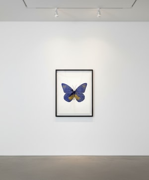 Damien Hirst - The Souls I (Westminster Blue - Oriental Gold)