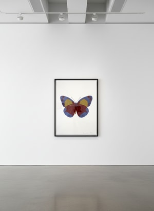 Damien Hirst - The Souls II (Chili Red - Frost Blue - Oriental Gold)
