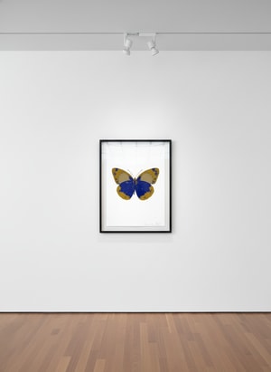 Damien Hirst - The Souls II - Westminster Blue/Oriental Gold/Cool Gold