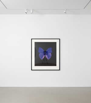 Damien Hirst - The Souls on Jacob's Ladder Take Their Flight (AP)