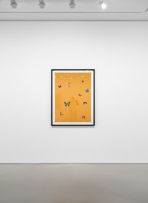 Damien Hirst - The Wonder Of You (Your Beauty)