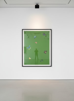 Damien Hirst - The Wonder Of You (Your Taste)