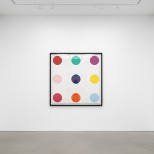 Damien Hirst - Triptophen