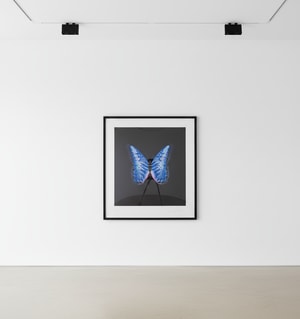 Damien Hirst - UP from The Souls on Jacob's Ladder Take Their Flight