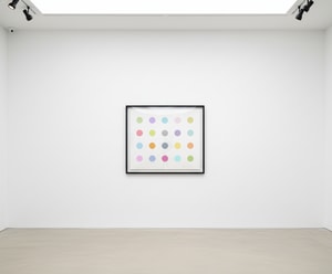 Damien Hirst - Vespula Vidua