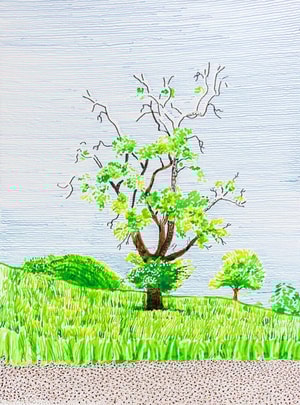 David Hockney - Hawthorn Bush in Front of a Very Old and Dying Pear Tree