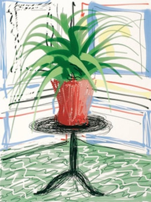 David Hockney - Ipad Drawing 468