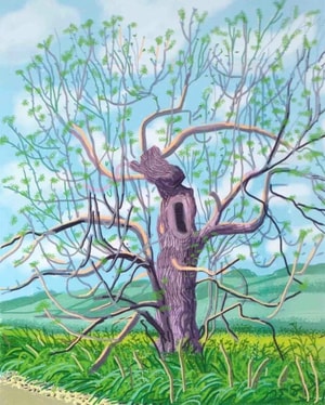David Hockney - May 18, The Arrival of Spring in Woldgate, East Yorkshire
