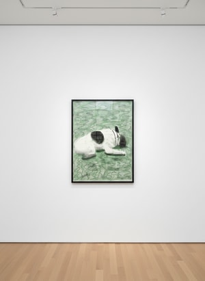 David Hockney - Moujik