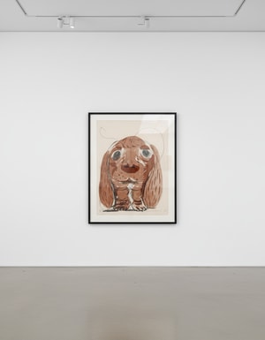 David Hockney - Stanley at 8 weeks