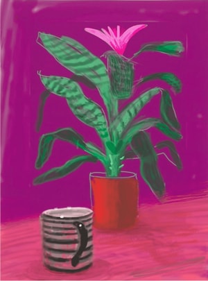 David Hockney - Striped Mug