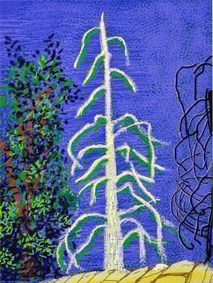 David Hockney - The Yosemite Suite No. 14