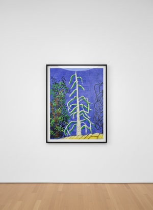 David Hockney - The Yosemite Suite No. 14