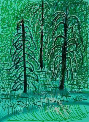 David Hockney - The Yosemite Suite No. 16