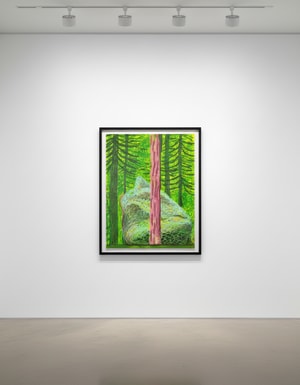 David Hockney - The Yosemite Suite No. 19