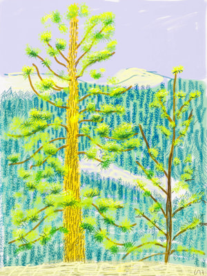 David Hockney - The Yosemite Suite No. 8