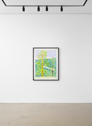 David Hockney - The Yosemite Suite No. 8